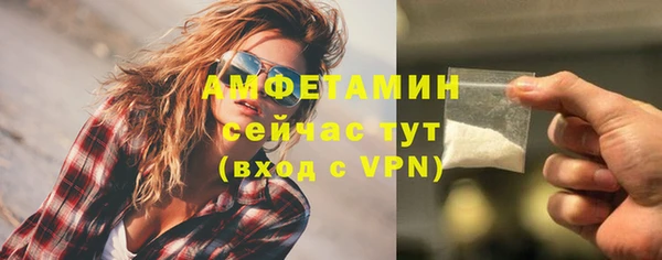 прущие грибы Верея