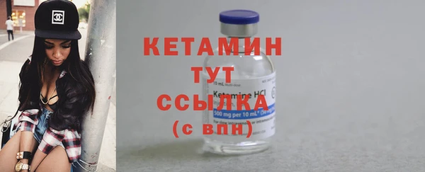 прущие грибы Верея