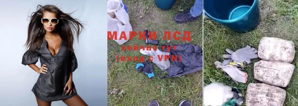 прущие грибы Верея