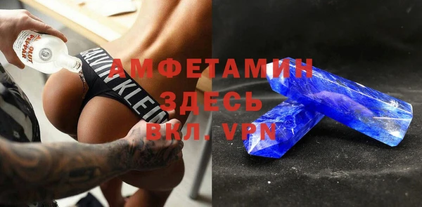 прущие грибы Верея